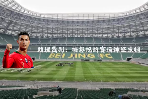 助理裁判：被忽视的赛场神经末梢